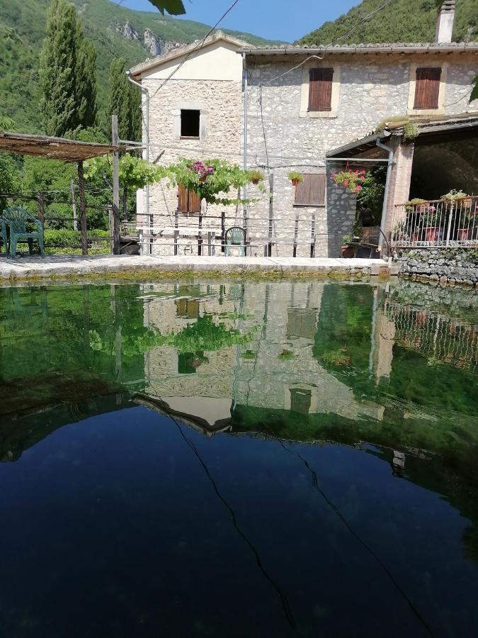 La Raccolta Apartman Scheggino Kültér fotó
